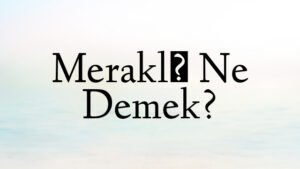 Meraklı Ne Demek?