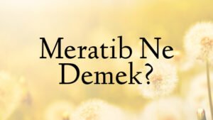 Meratib Ne Demek?