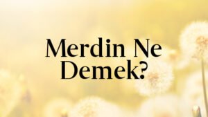 Merdin Ne Demek?