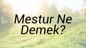 Mestur Ne Demek?