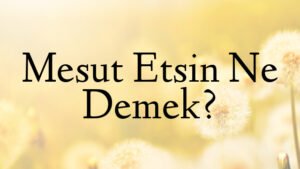 Mesut Etsin Ne Demek?