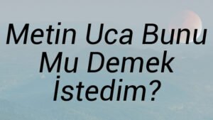 Metin Uca Bunu Mu Demek İstedim?
