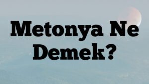 Metonya Ne Demek?
