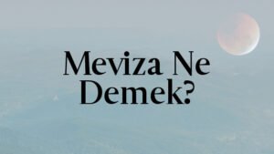Meviza Ne Demek?