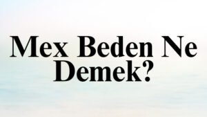 Mex Beden Ne Demek?
