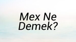 Mex Ne Demek?