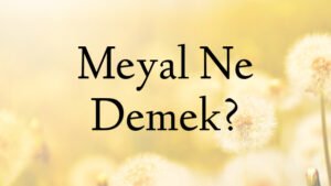 Meyal Ne Demek?