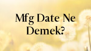 Mfg Date Ne Demek?