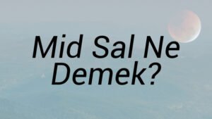 Mid Sal Ne Demek?