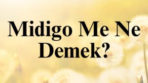 Midigo Me Ne Demek?