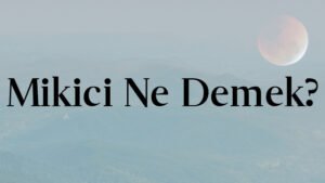 Mikici Ne Demek?
