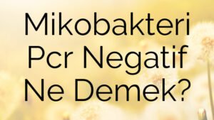 Mikobakteri Pcr Negatif Ne Demek?