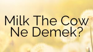 Milk The Cow Ne Demek?