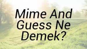 Mime And Guess Ne Demek?