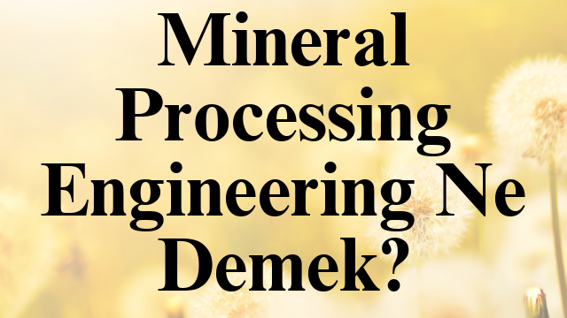 Mineral Processing Engineering Ne Demek?