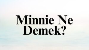 Minnie Ne Demek?