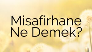 Misafirhane Ne Demek?