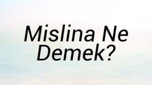 Mislina Ne Demek?