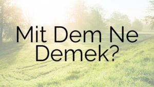 Mit Dem Ne Demek?
