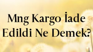 Mng Kargo İade Edildi Ne Demek?