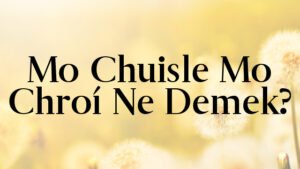 Mo Chuisle Mo Chroí Ne Demek?