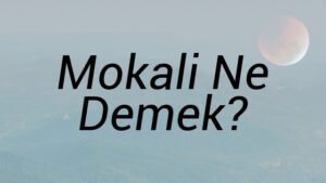 Mokali Ne Demek?