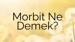 Morbit Ne Demek?