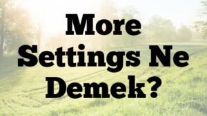 More Settings Ne Demek?