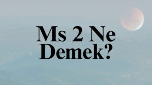 Ms 2 Ne Demek?