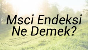 Msci Endeksi Ne Demek?