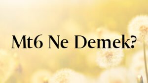 Mt6 Ne Demek?