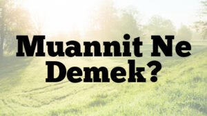 Muannit Ne Demek?