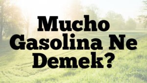 Mucho Gasolina Ne Demek?