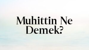 Muhittin Ne Demek?