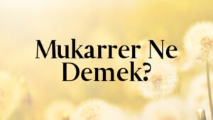 Mukarrer Ne Demek?