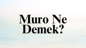 Muro Ne Demek?