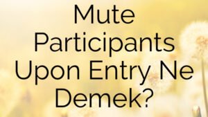 Mute Participants Upon Entry Ne Demek?