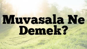 Muvasala Ne Demek?