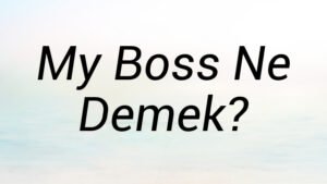 My Boss Ne Demek?