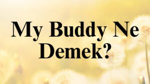 My Buddy Ne Demek?