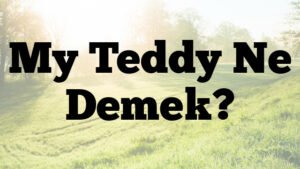 My Teddy Ne Demek?