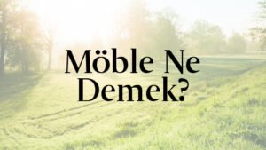 Möble Ne Demek?