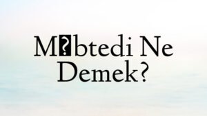 Mübtedi Ne Demek?