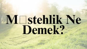 Müstehlik Ne Demek?