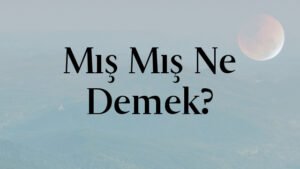 Mış Mış Ne Demek?