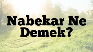 Nabekar Ne Demek?