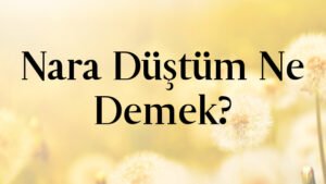 Nara Düştüm Ne Demek?