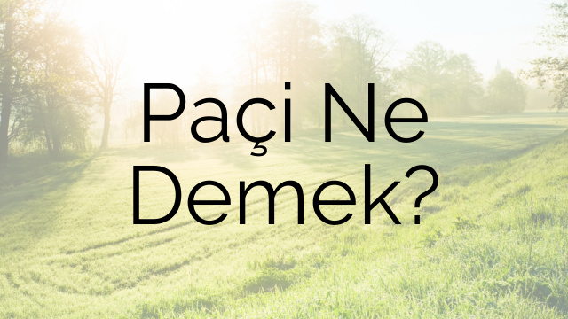 Paçi Ne Demek?