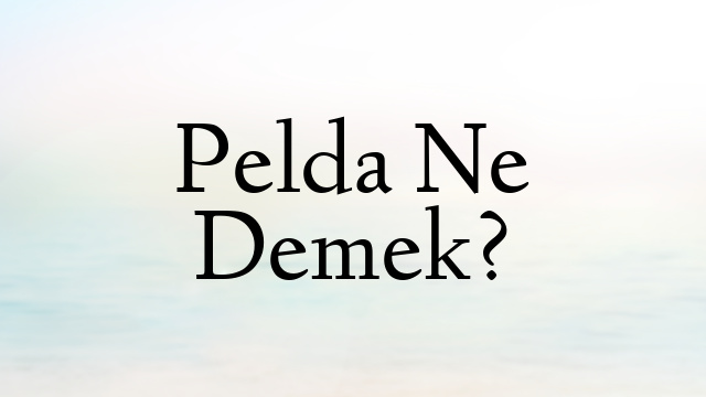 Pelda Ne Demek?