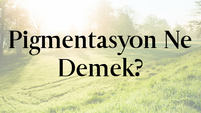 Pigmentasyon Ne Demek?